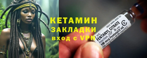 индика Арсеньев