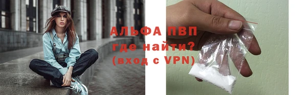 индика Арсеньев