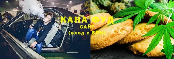 индика Арсеньев