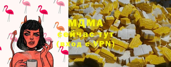 индика Арсеньев