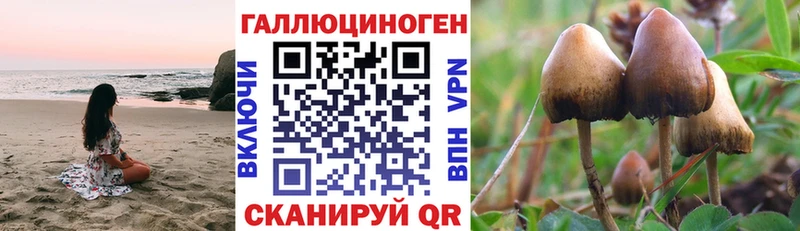 Псилоцибиновые грибы мицелий  Нижняя Салда 
